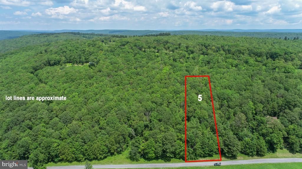 Lot 5 Greenwood Ridge Road, Accident, MD 21520 Main Photo