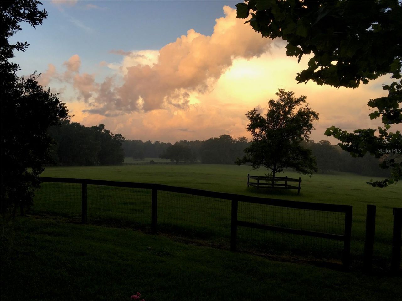 15000 W Hwy 318, Williston, FL 32696 Photo