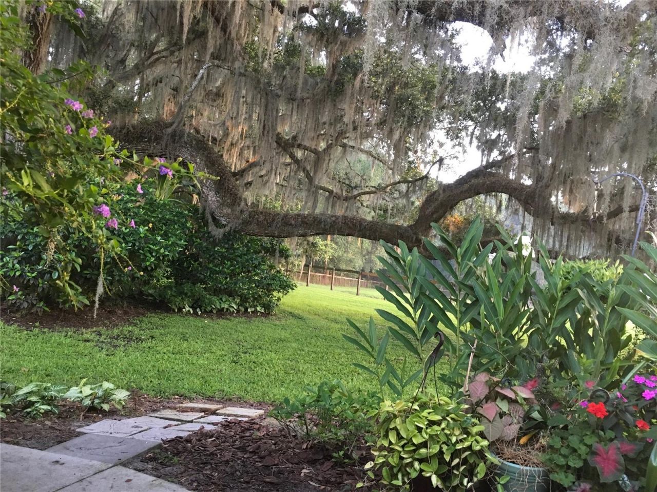 15000 W Hwy 318, Williston, FL 32696 Photo