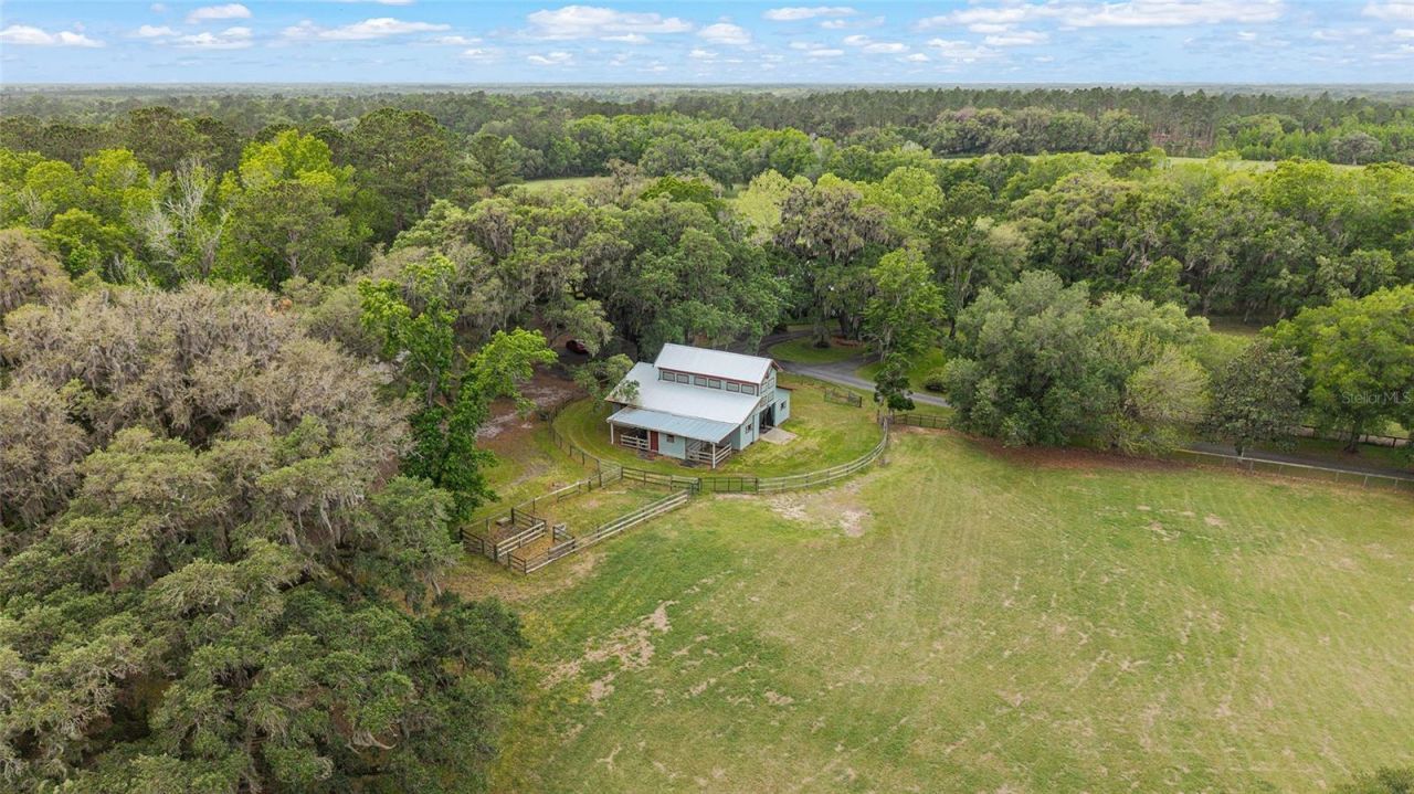 15000 W Hwy 318, Williston, FL 32696 Photo