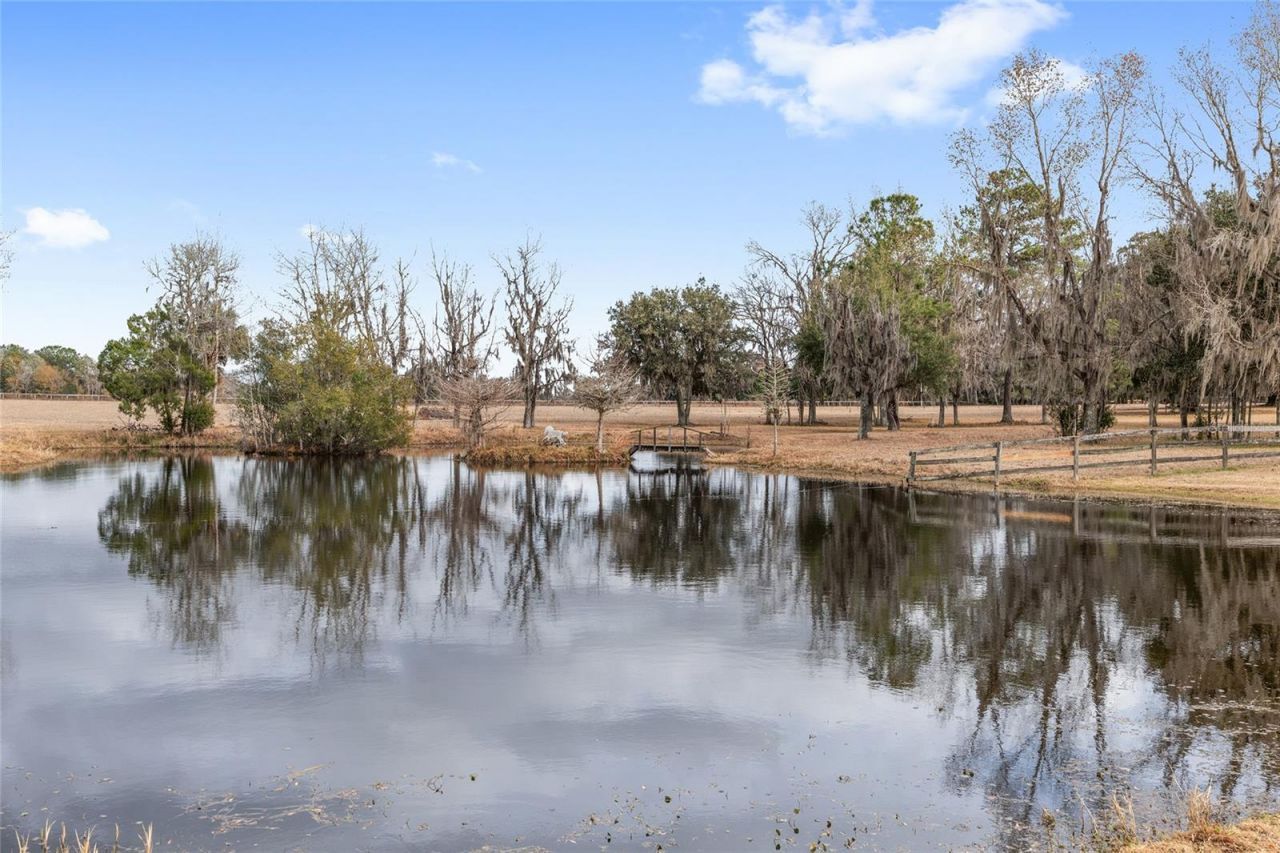 15000 W Hwy 318, Williston, FL 32696 Photo