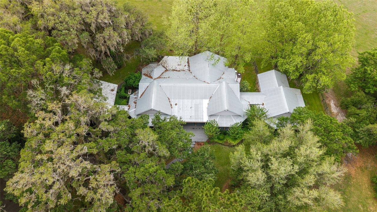 15000 W Hwy 318, Williston, FL 32696 Photo