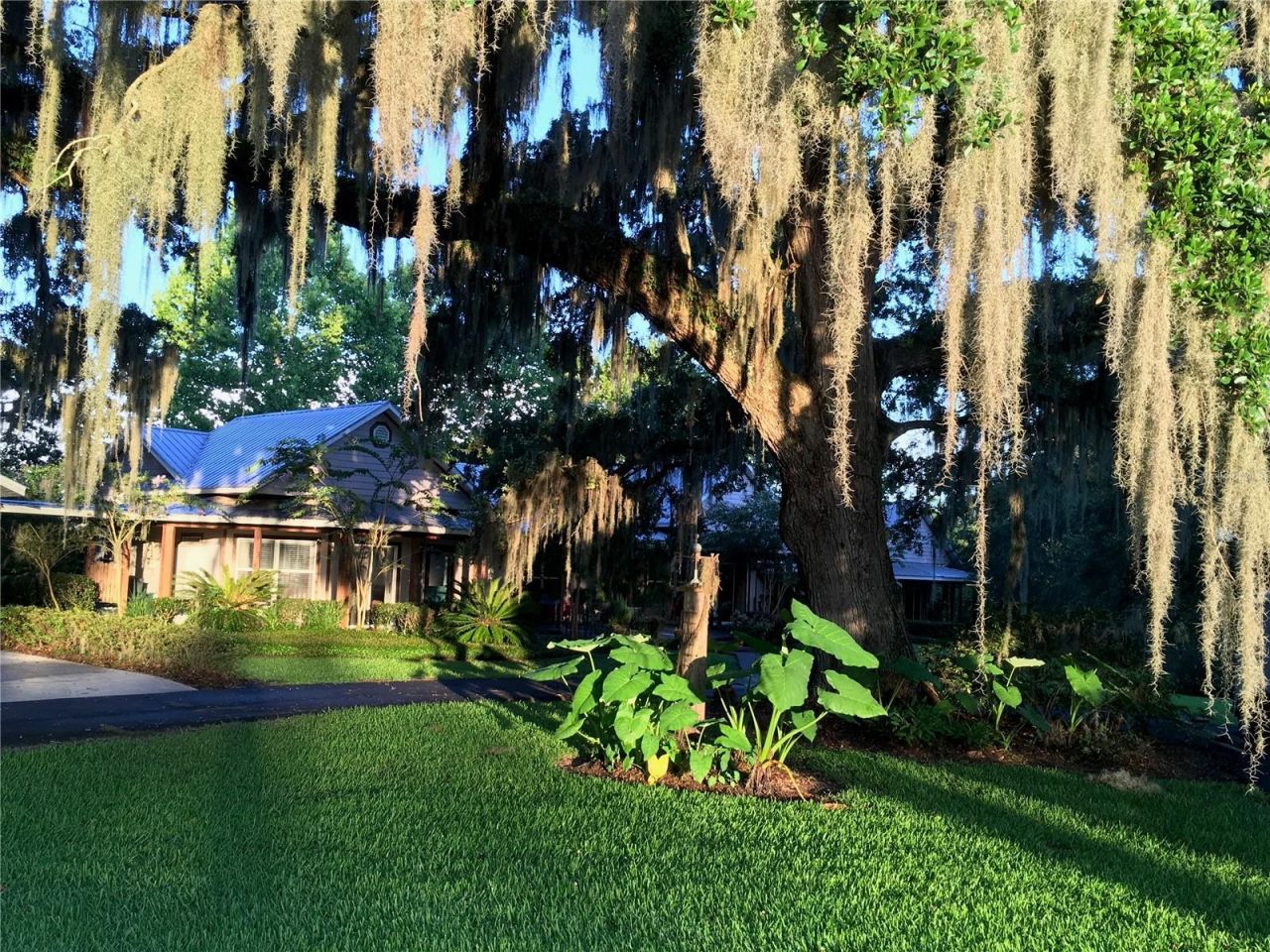 15000 W Hwy 318, Williston, FL 32696 Photo