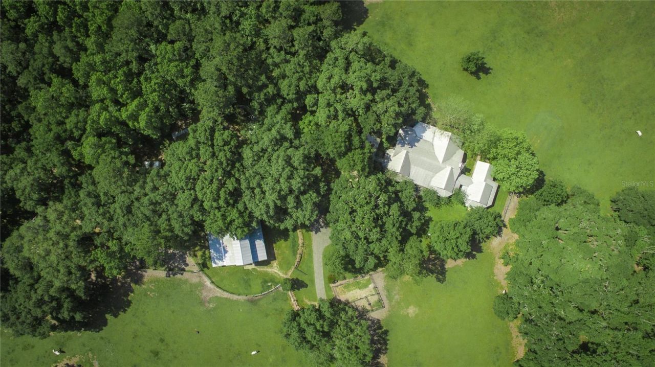 15000 W Hwy 318, Williston, FL 32696 Photo