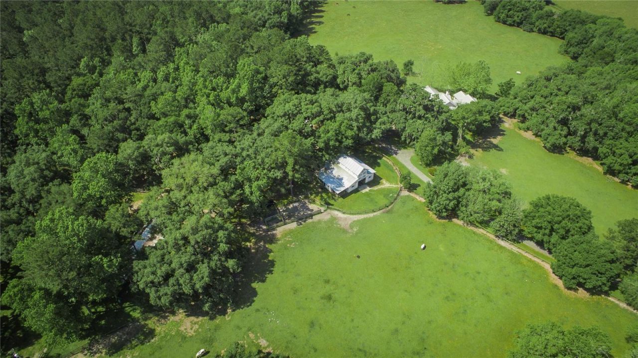 15000 W Hwy 318, Williston, FL 32696 Photo