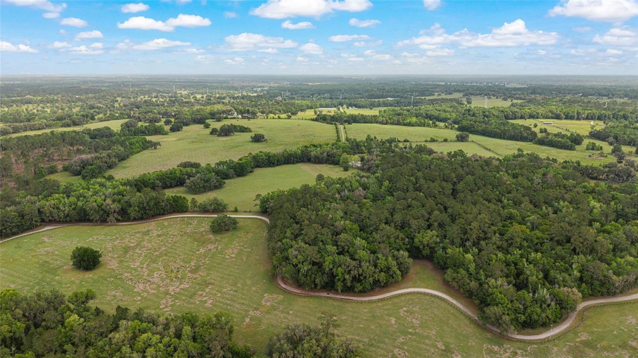 15000 W Hwy 318, Williston, FL 32696 Photo