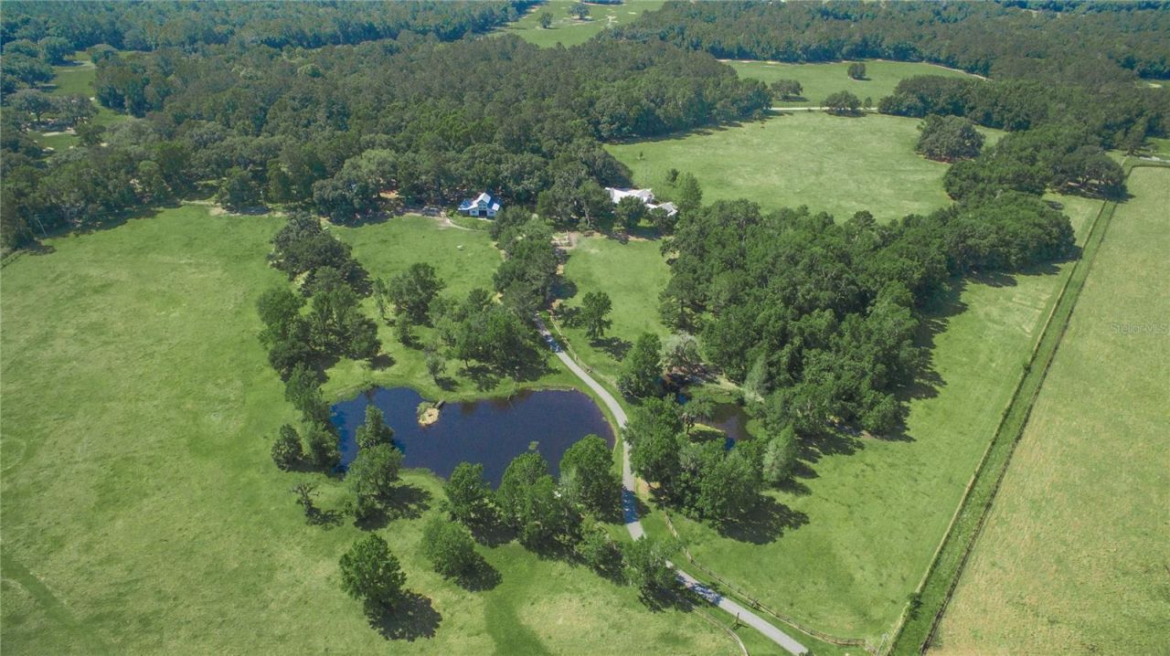 15000 W Hwy 318, Williston, FL 32696 Photo