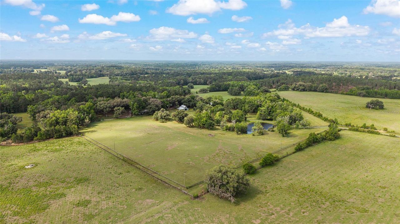 15000 W Hwy 318, Williston, FL 32696 Photo