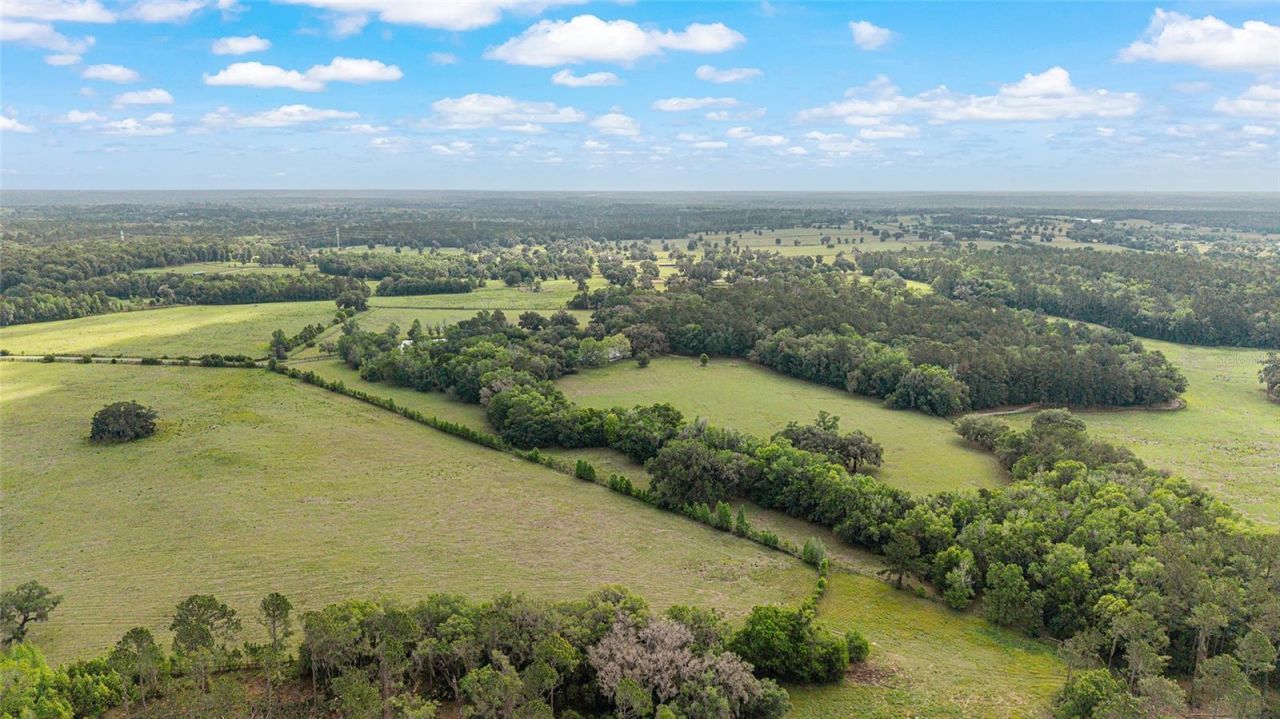 15000 W Hwy 318, Williston, FL 32696 Photo
