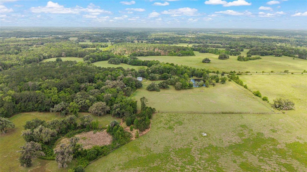 15000 W Hwy 318, Williston, FL 32696 Photo