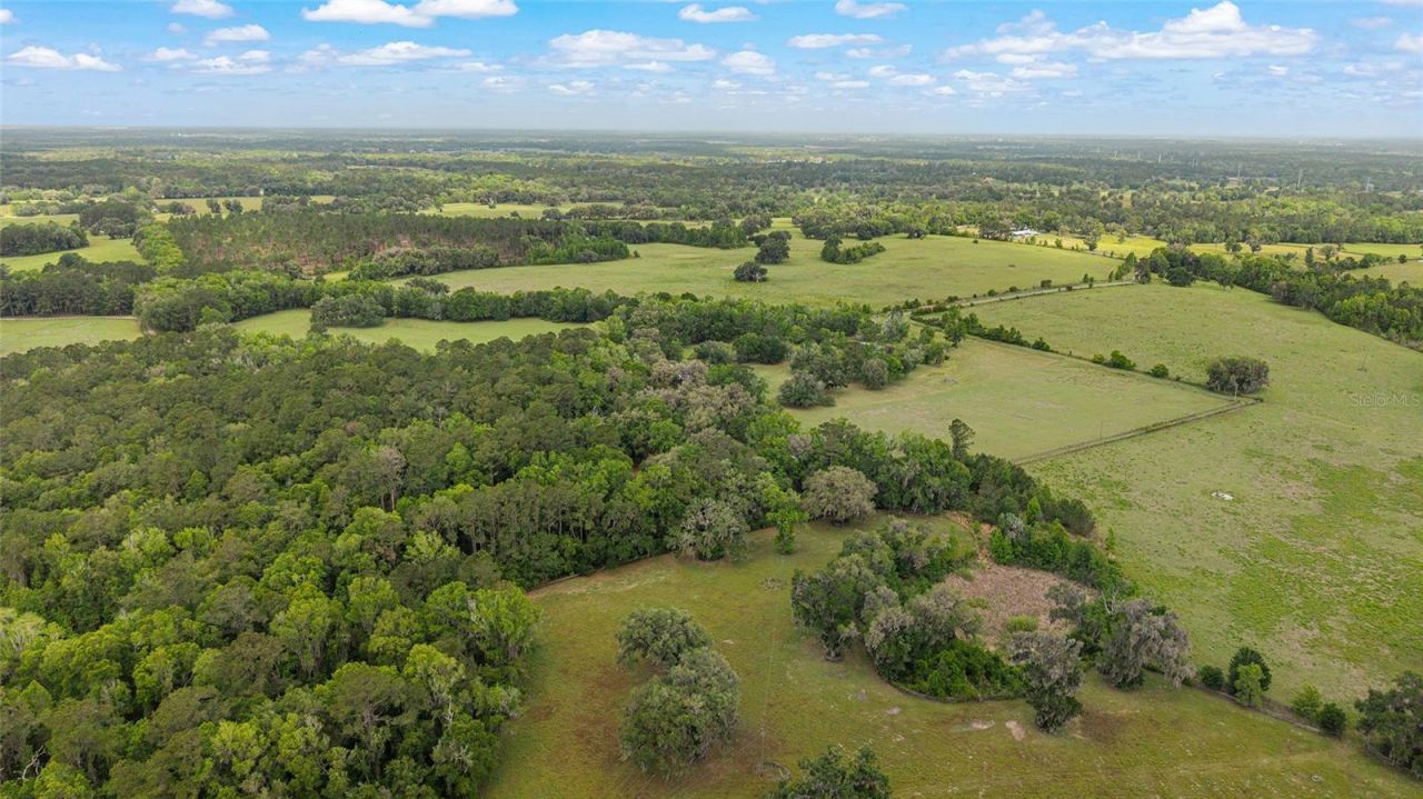 15000 W Hwy 318, Williston, FL 32696 Photo