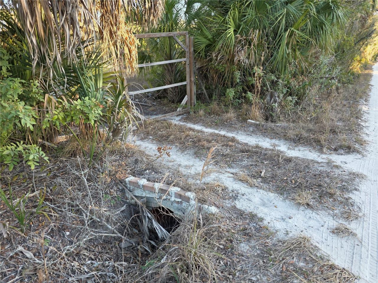 14420 Highland Road, Wimauma, FL 33598 Photo