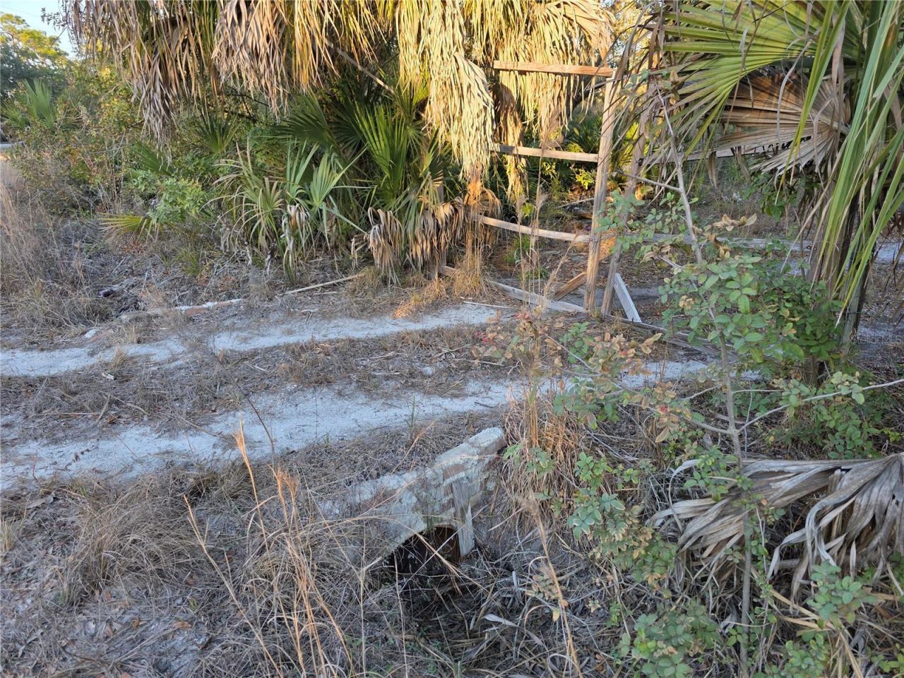 14420 Highland Road, Wimauma, FL 33598 Photo