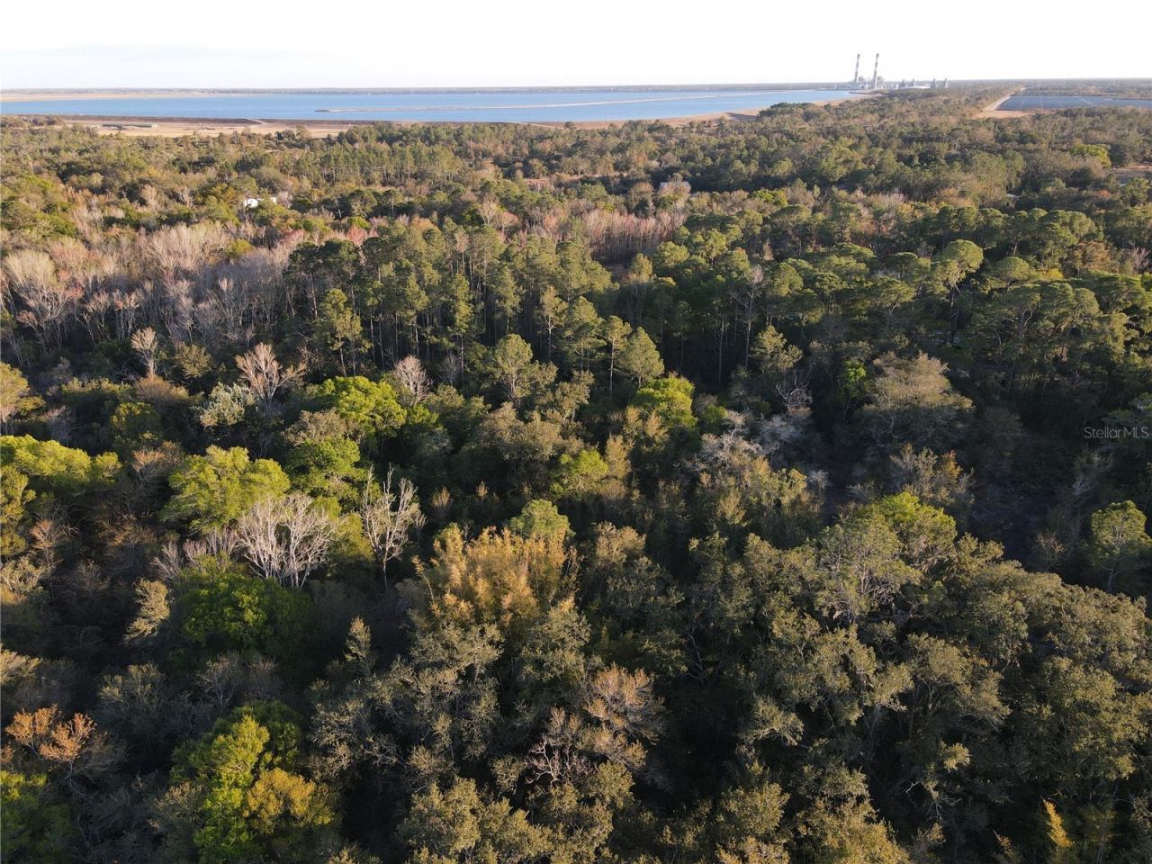 14420 Highland Road, Wimauma, FL 33598 Photo