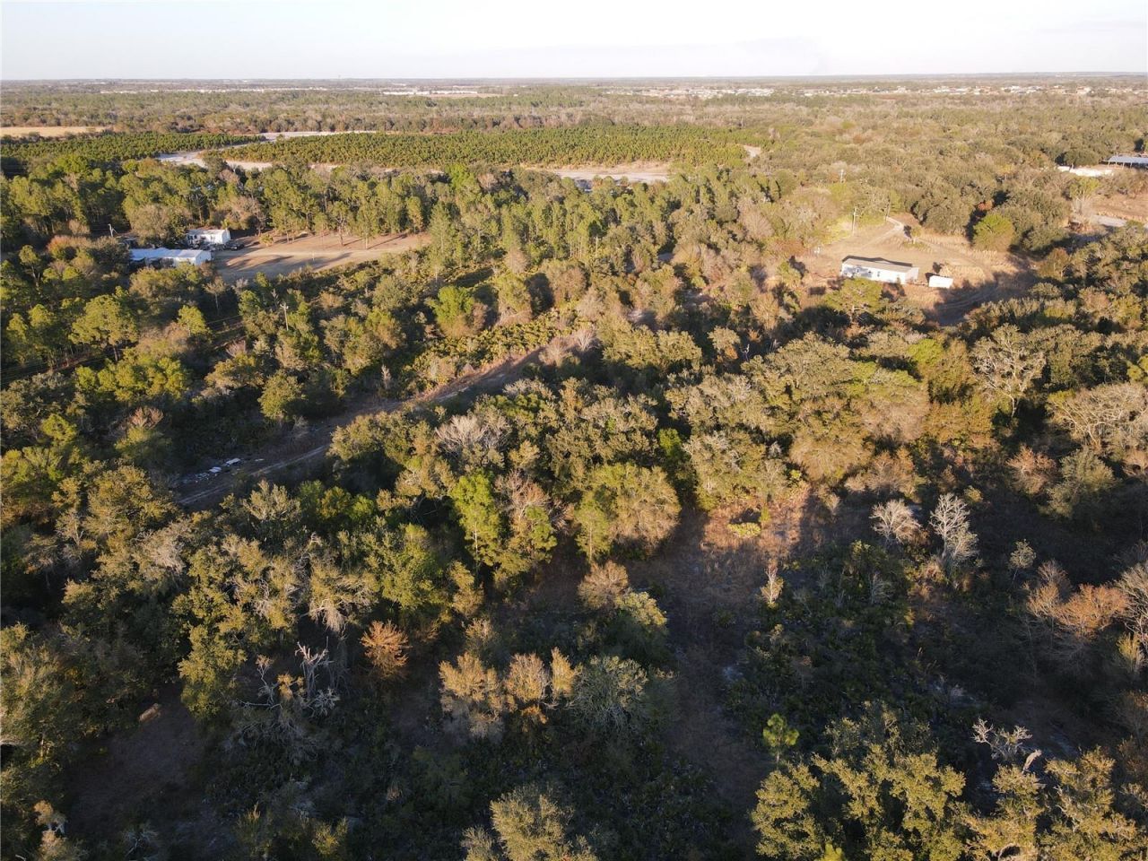 14420 Highland Road, Wimauma, FL 33598 Photo