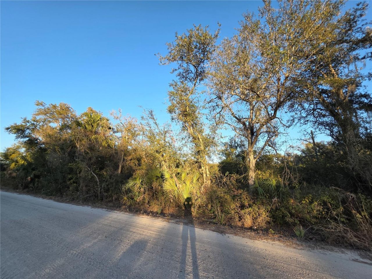 14420 Highland Road, Wimauma, FL 33598 Photo