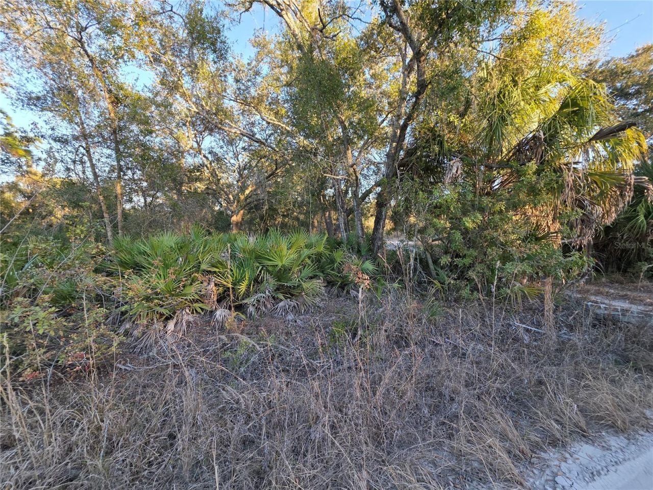 14420 Highland Road, Wimauma, FL 33598 Photo