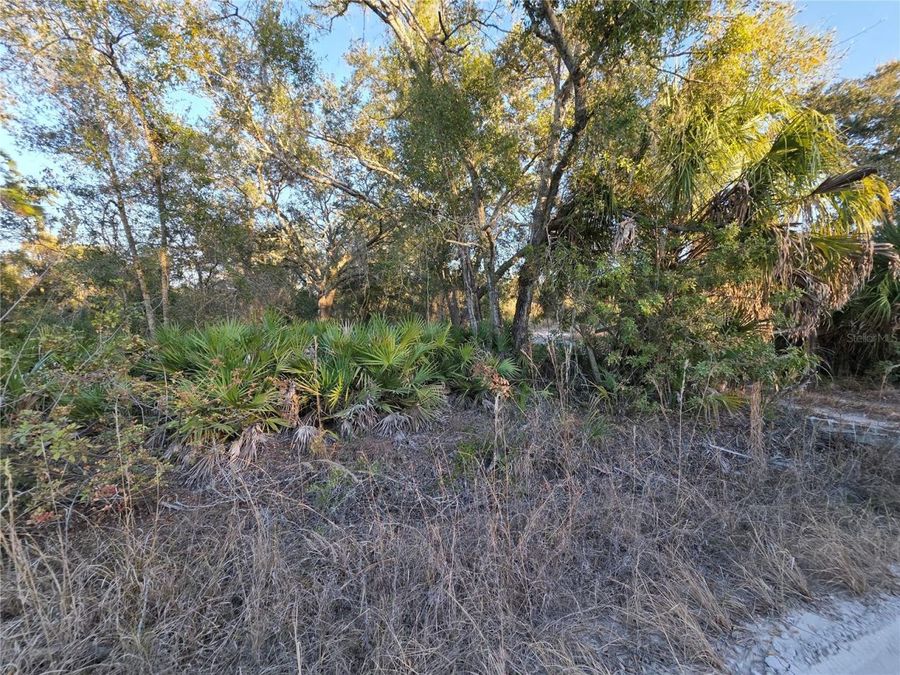 Property Image 8