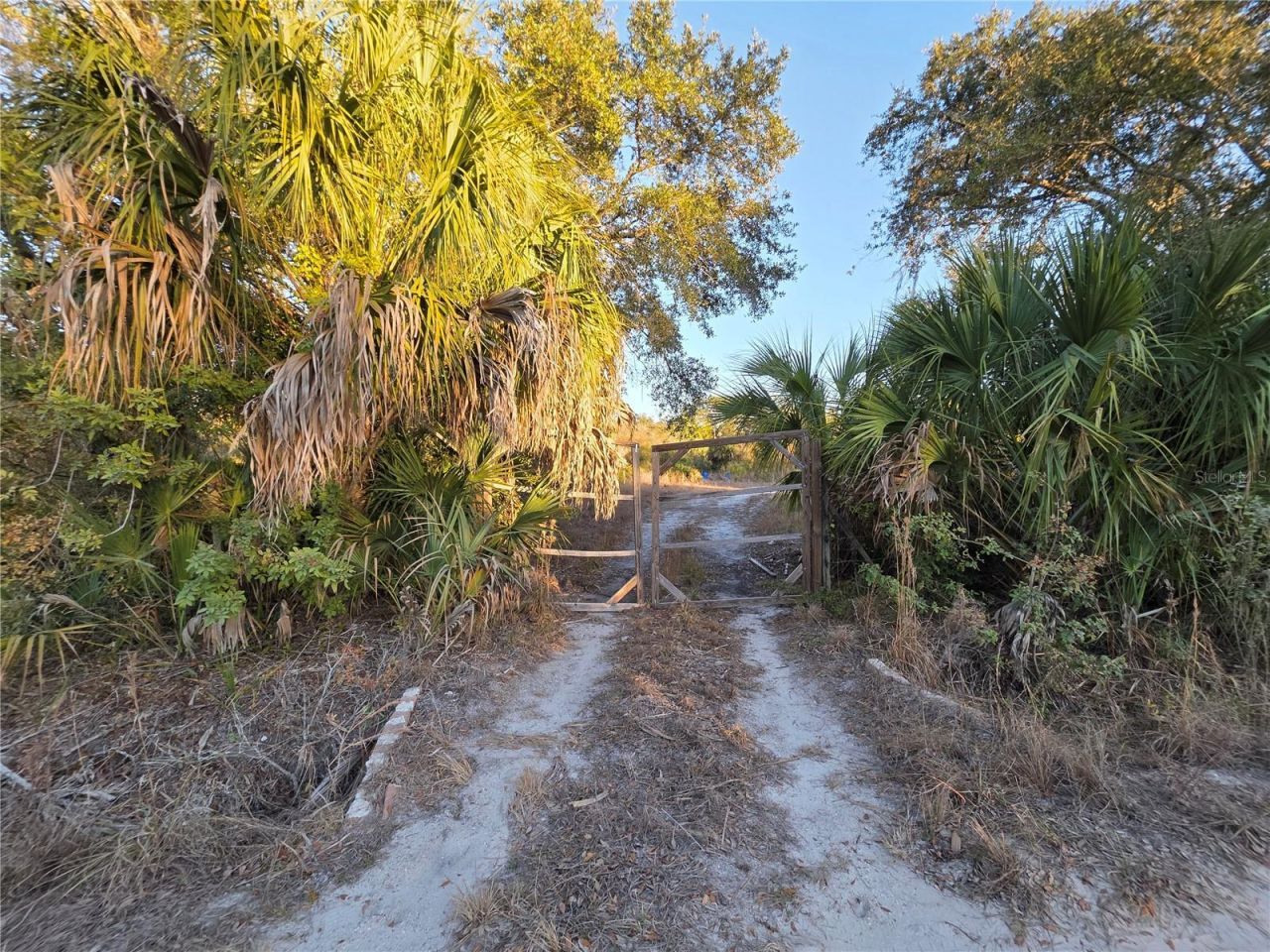 14420 Highland Road, Wimauma, FL 33598 Photo