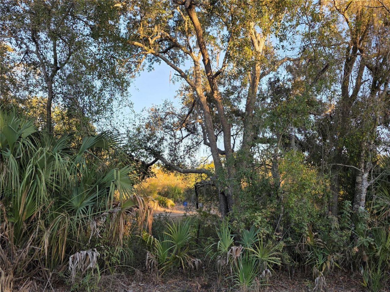 14420 Highland Road, Wimauma, FL 33598 Photo