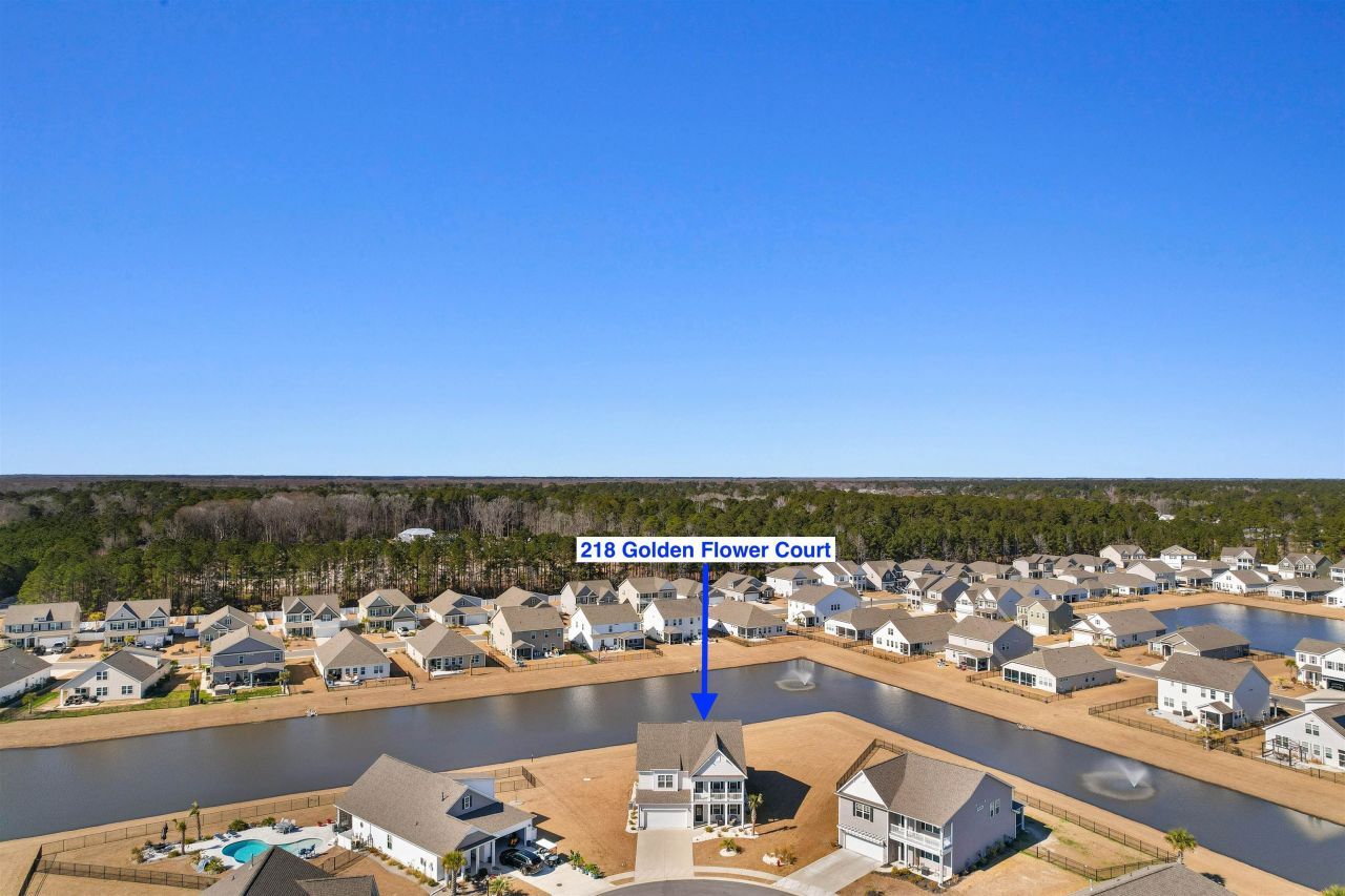 218 Golden Flower Ct. Photo 44