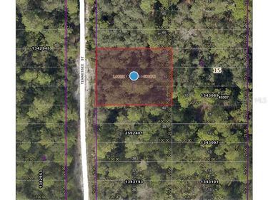 TENNESSEE STREET, PAISLEY, FL 32767