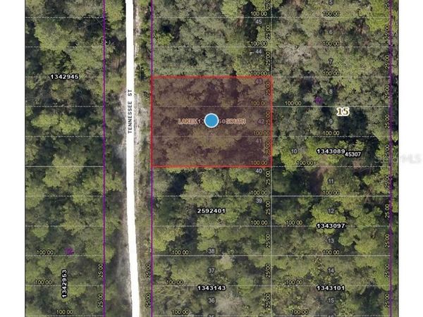 TENNESSEE STREET, PAISLEY, FL 32767