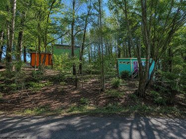142 Jacob Pace Street, Thomas, WV 26292
