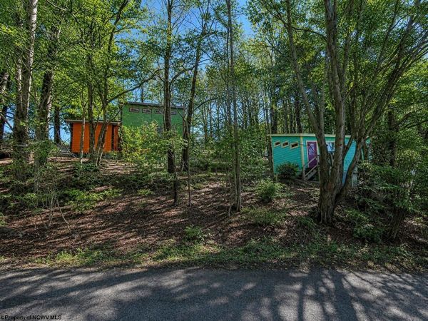142 Jacob Pace Street, Thomas, WV 26292
