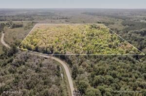 83 Bill Willis Road, Union, MS 39365 Main Photo