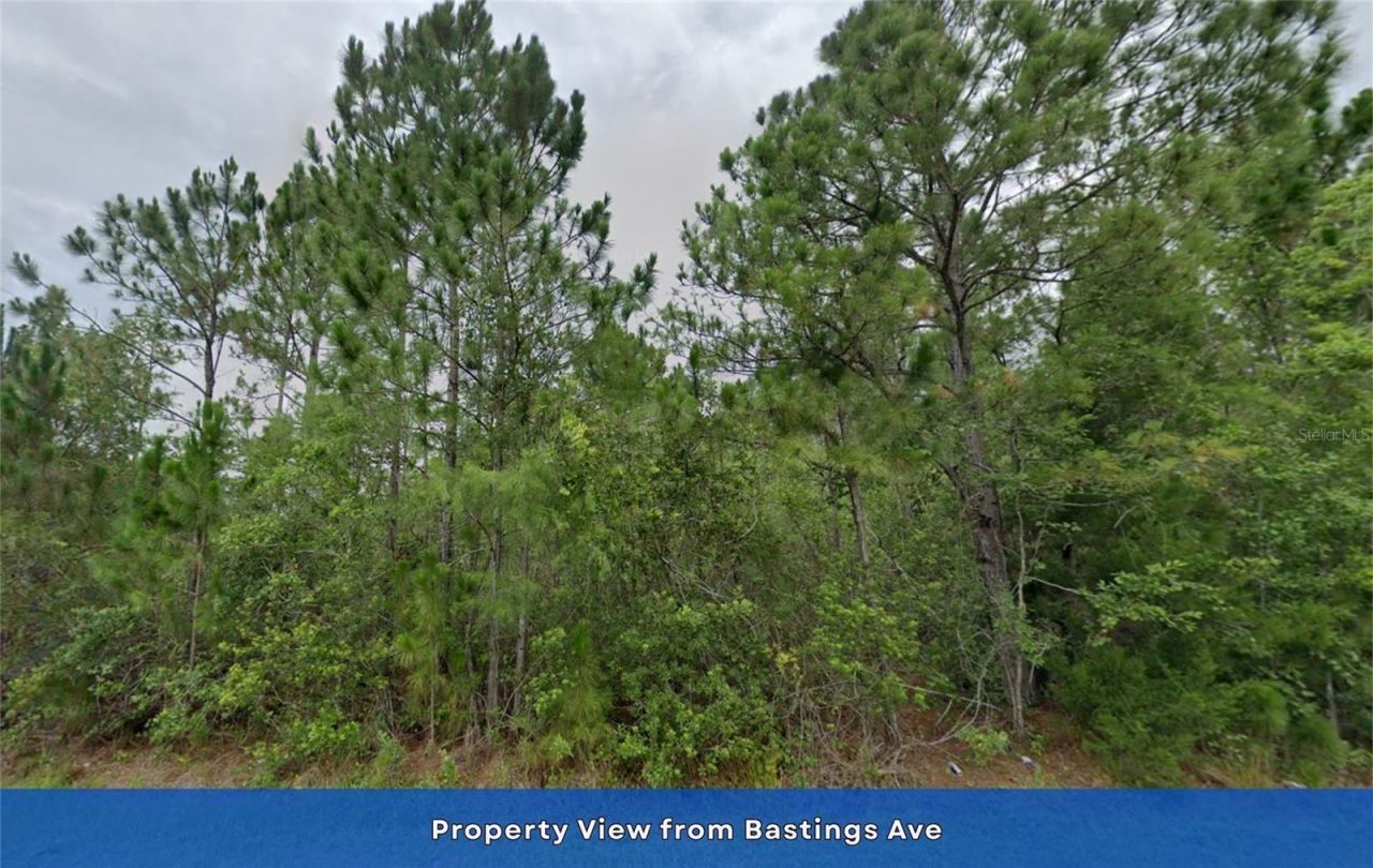 Lot 85 Meredith Parkway, Orlando, FL 32833 Photo