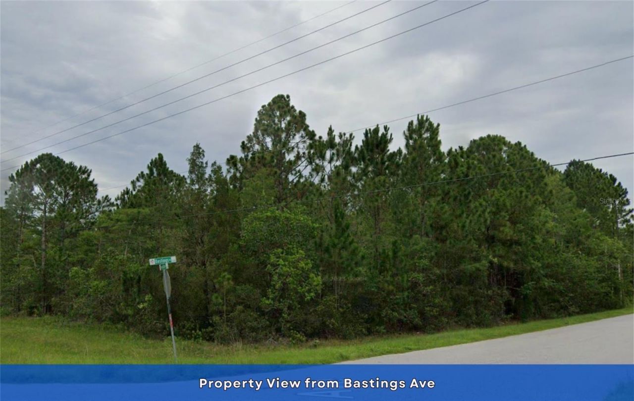 Lot 85 Meredith Parkway, Orlando, FL 32833 Photo