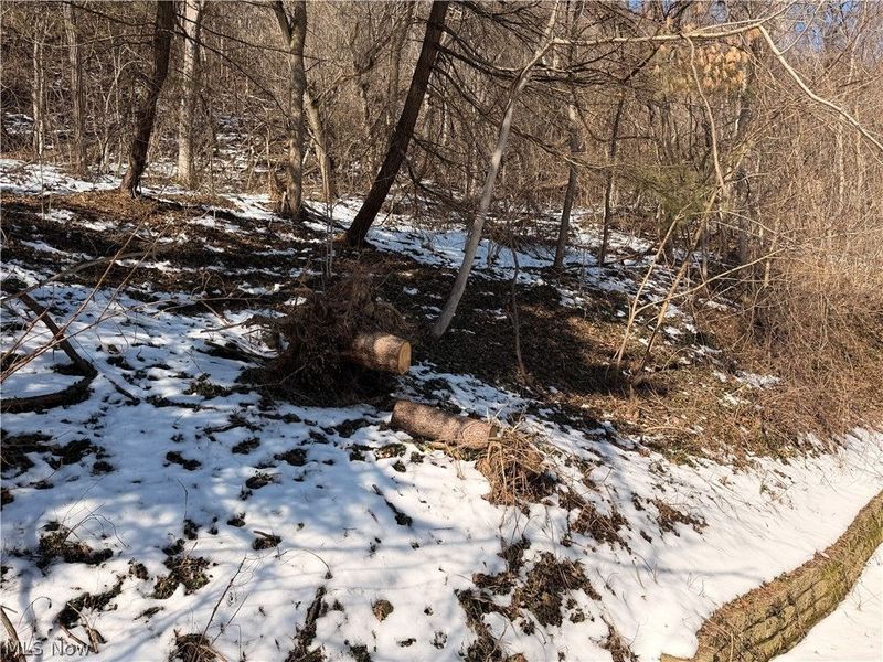 8587 County Road 15, Rayland, OH 43943 Photo 48