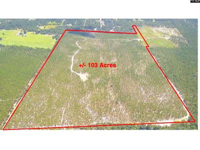0 Bub Shumpert Road , Pelion, SC 29123