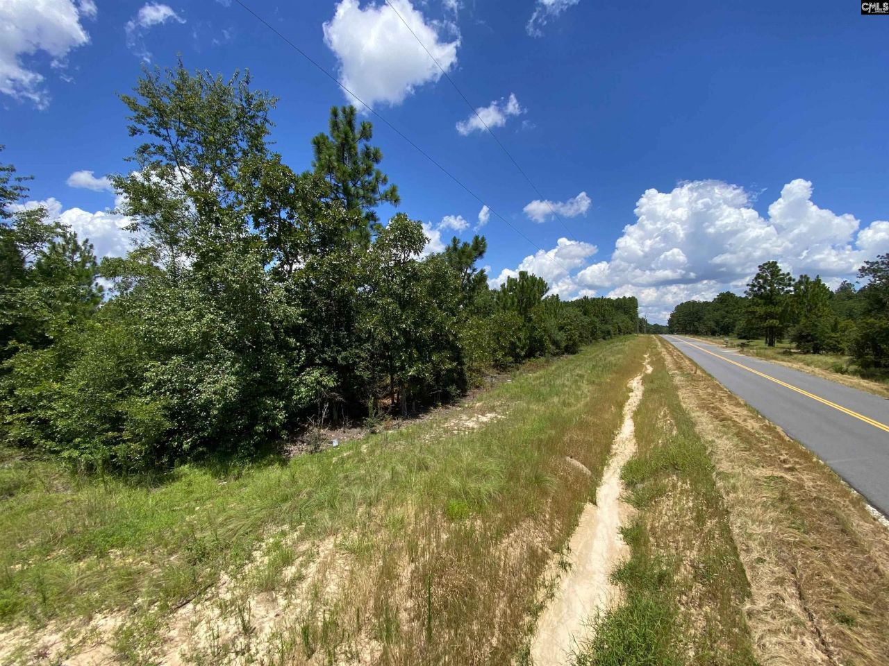 0 Bub Shumpert Road  Photo 4