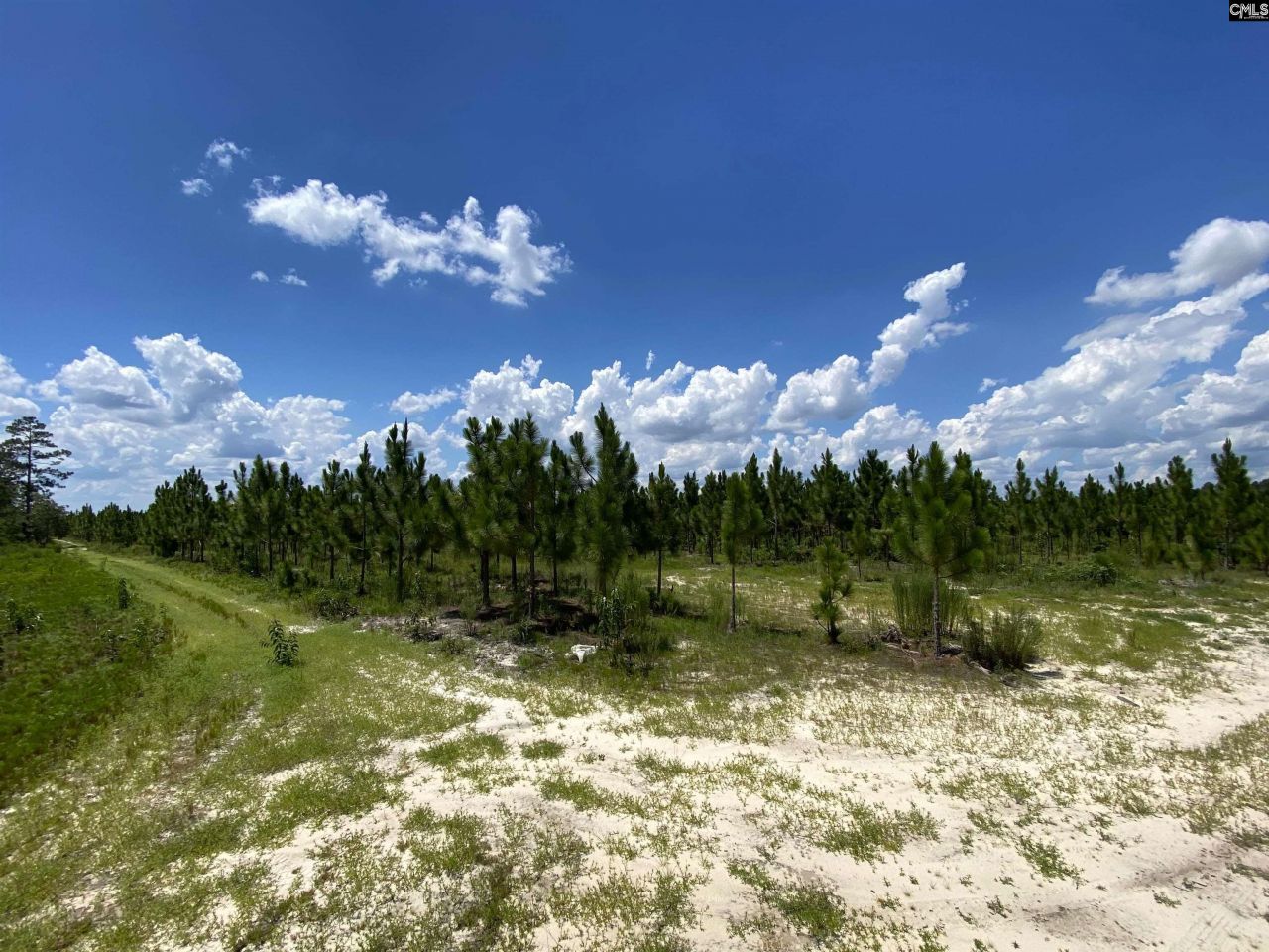 0 Bub Shumpert Road  Photo 5