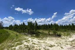 0 Bub Shumpert Road  photo 4