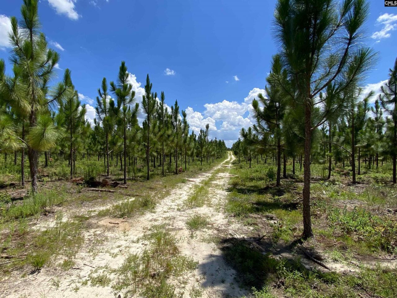 0 Bub Shumpert Road  Photo 7