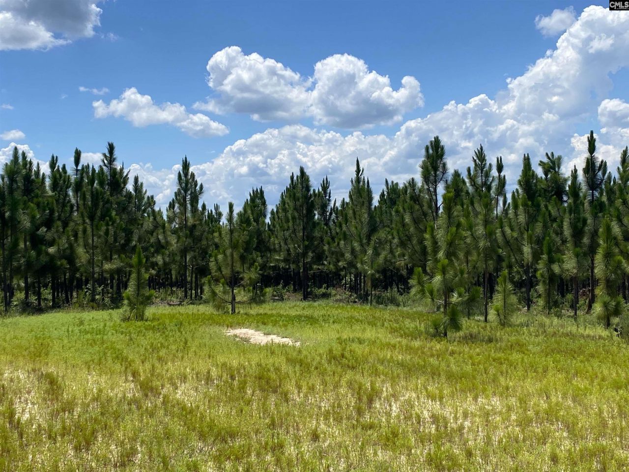 0 Bub Shumpert Road  Photo 8