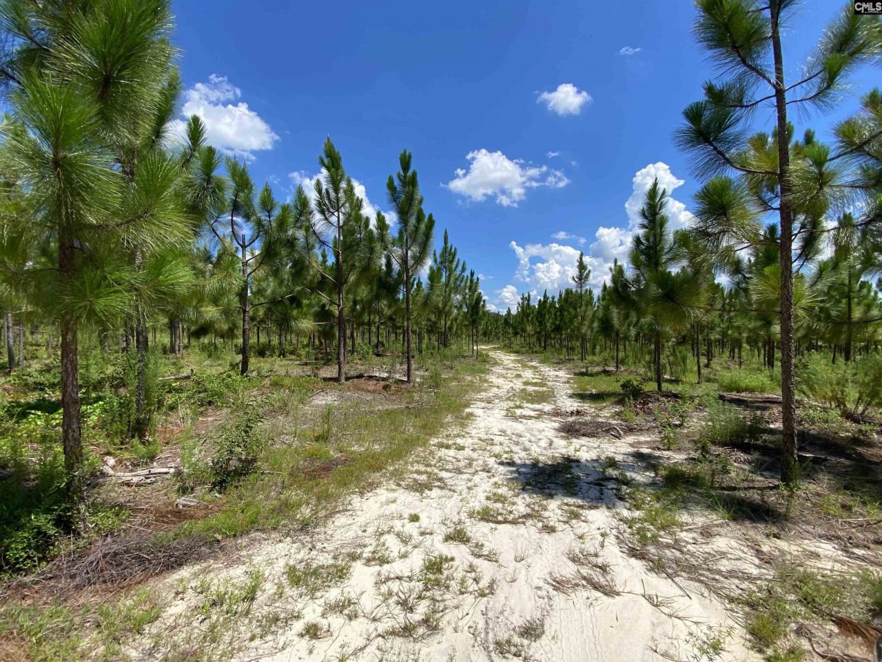 0 Bub Shumpert Road  Photo 9