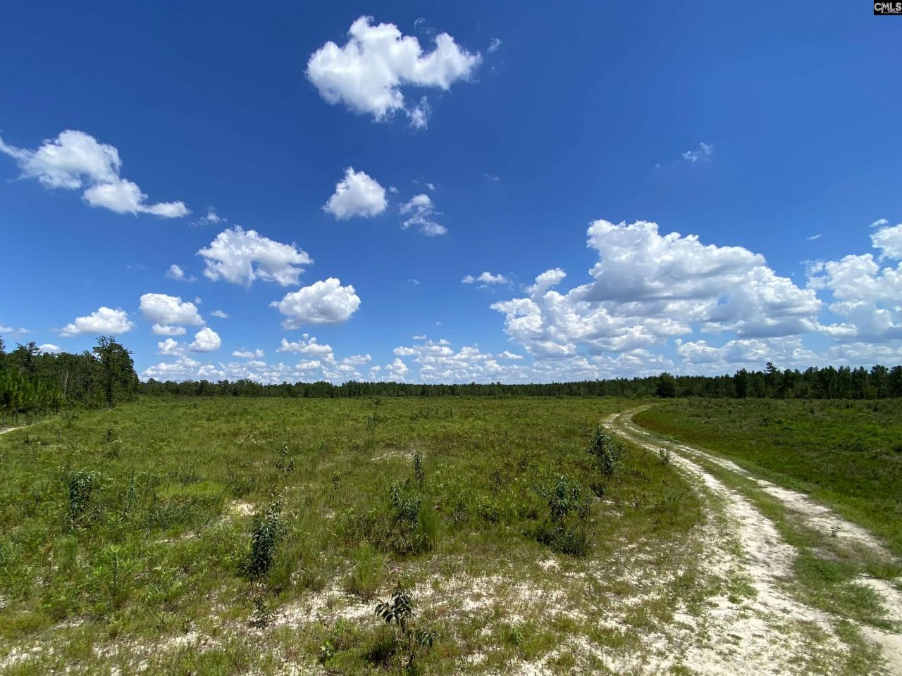 00 Bub Shumpert Road  Photo 10