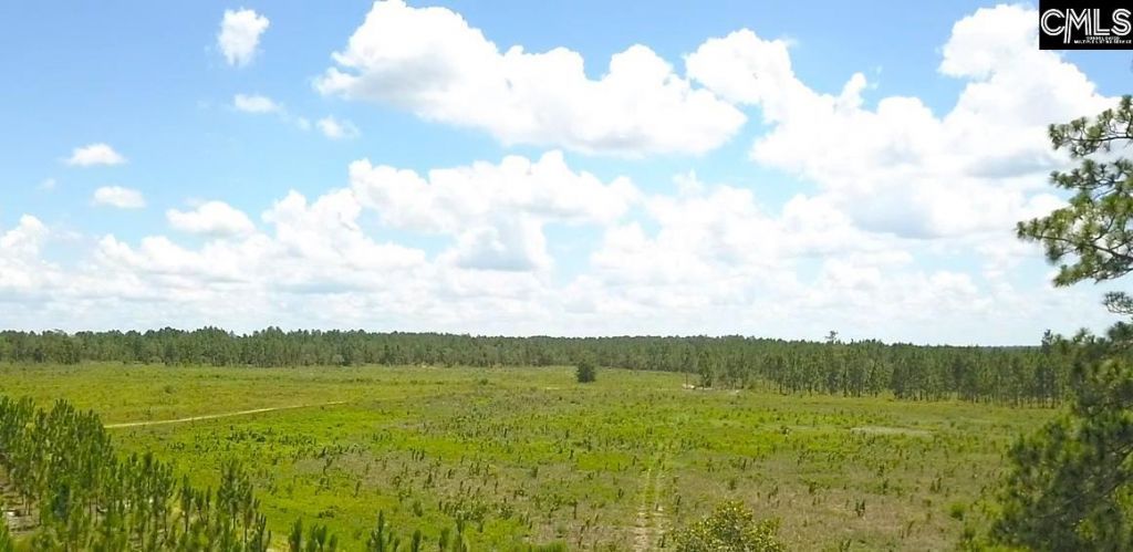 00 Bub Shumpert Road  Photo 18