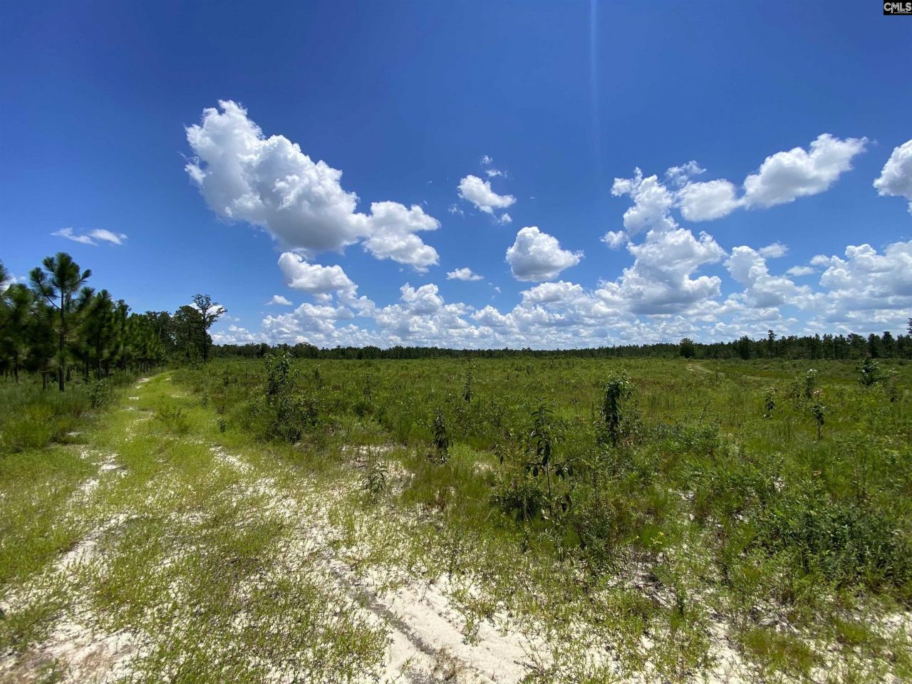 00 Bub Shumpert Road  Photo 19