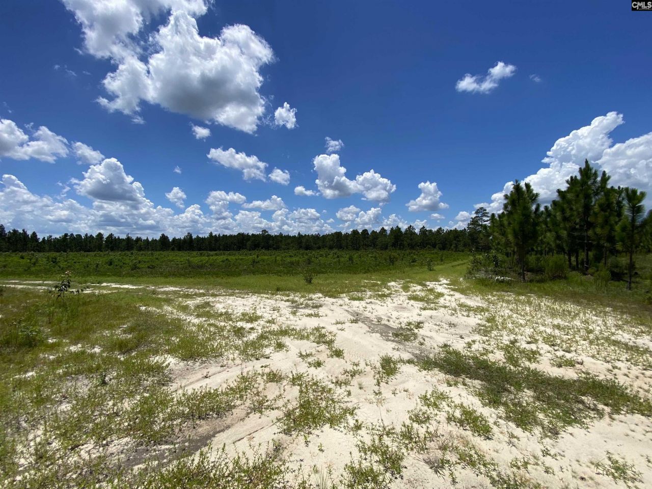 00 Bub Shumpert Road  Photo 20