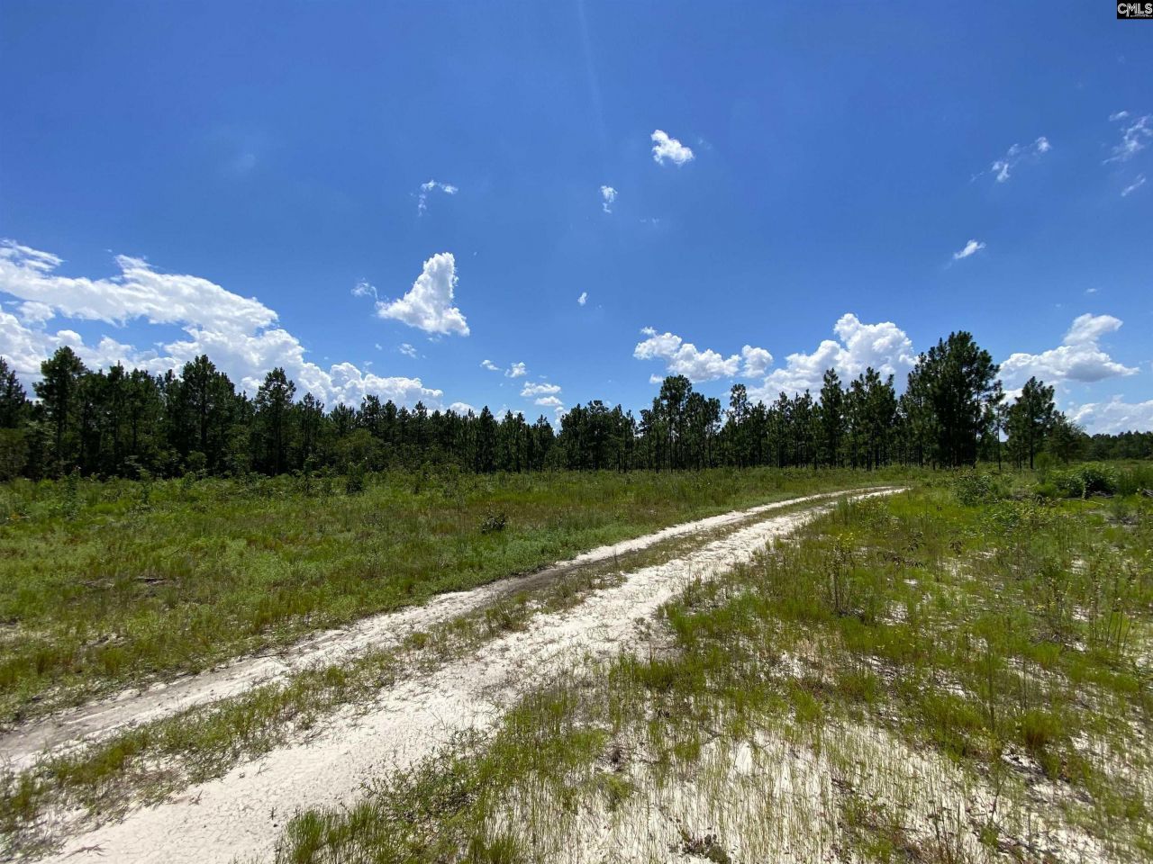 00 Bub Shumpert Road  Photo 21