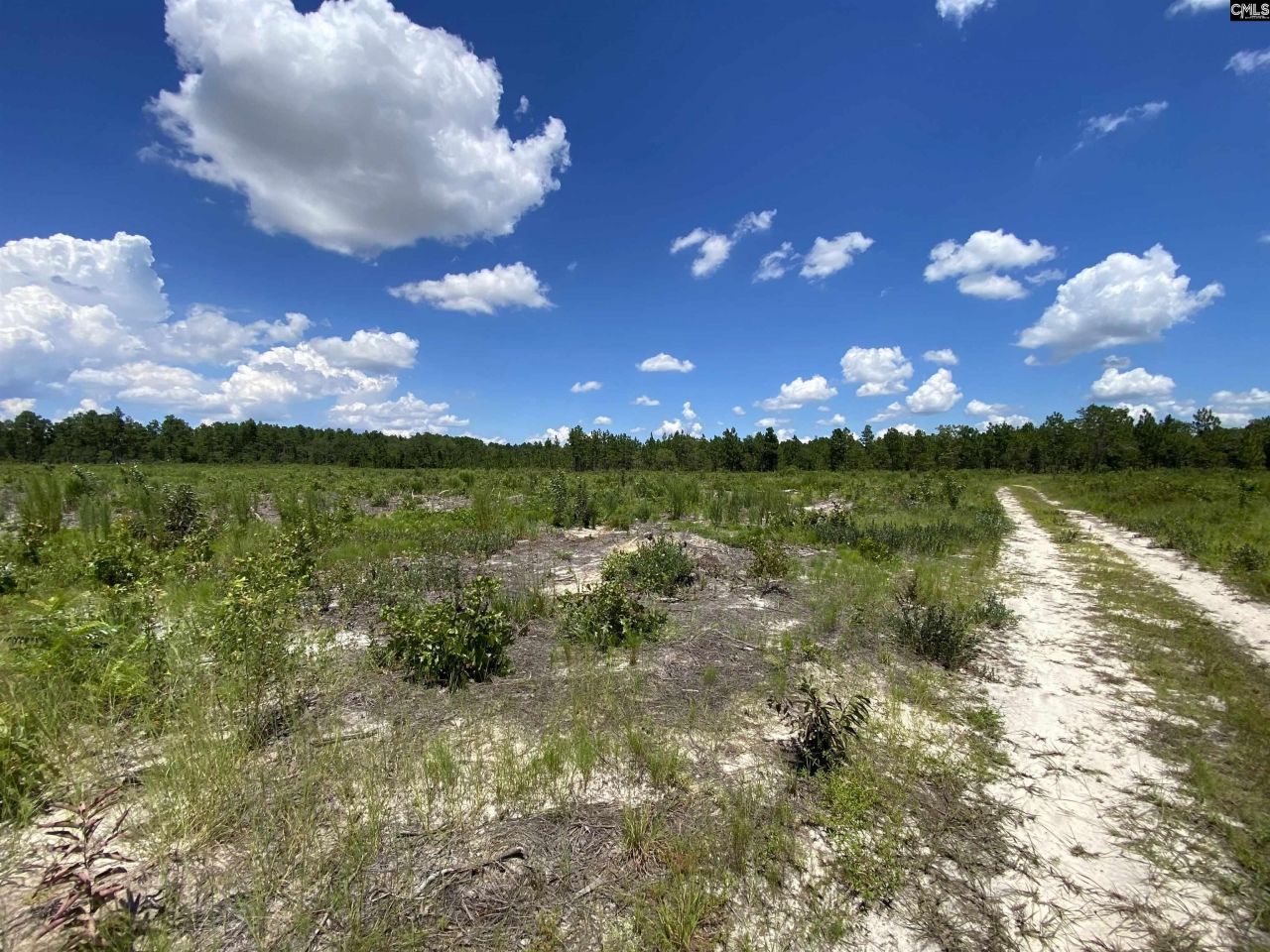 00 Bub Shumpert Road  Photo 22