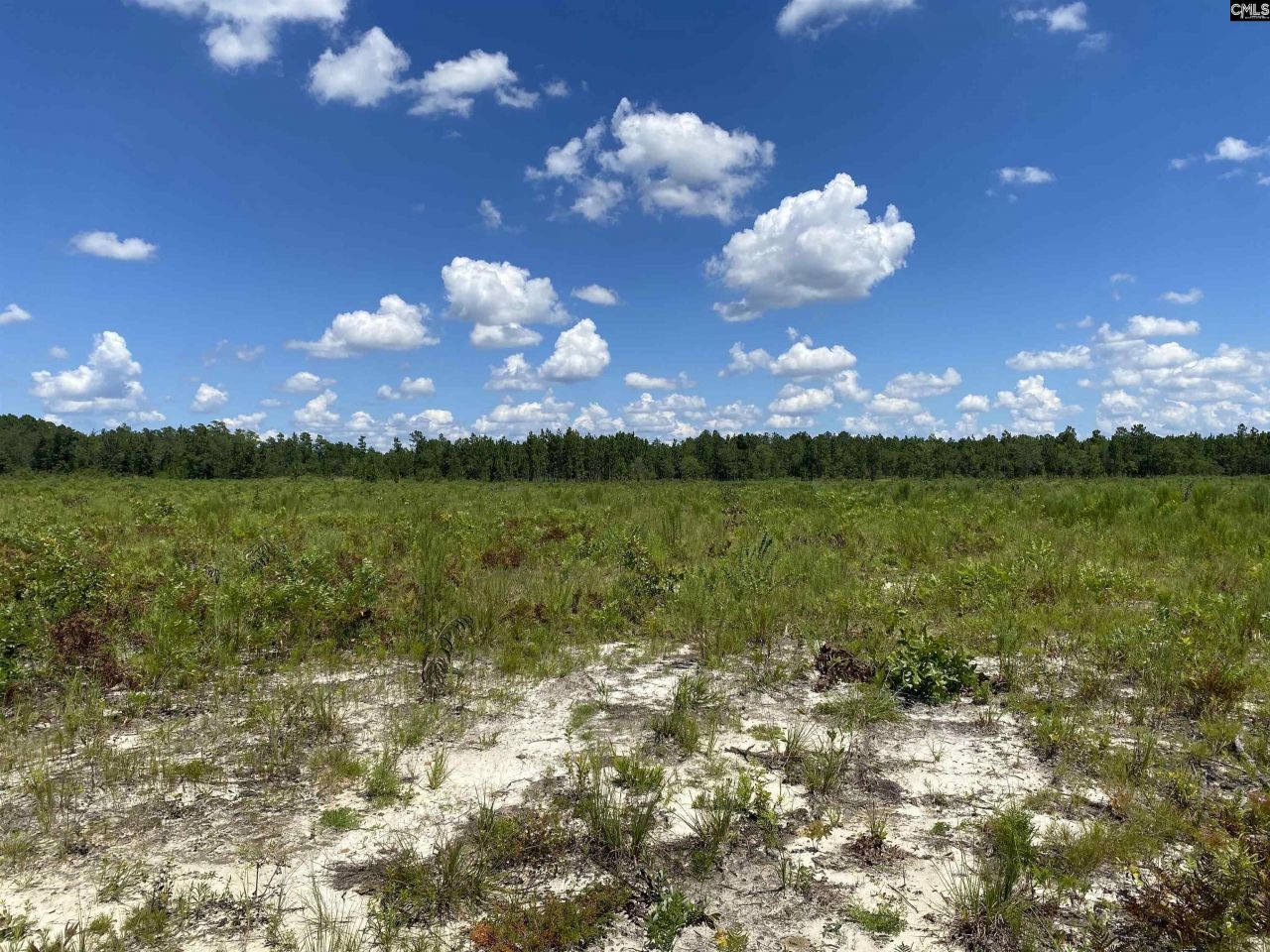 00 Bub Shumpert Road  Photo 23