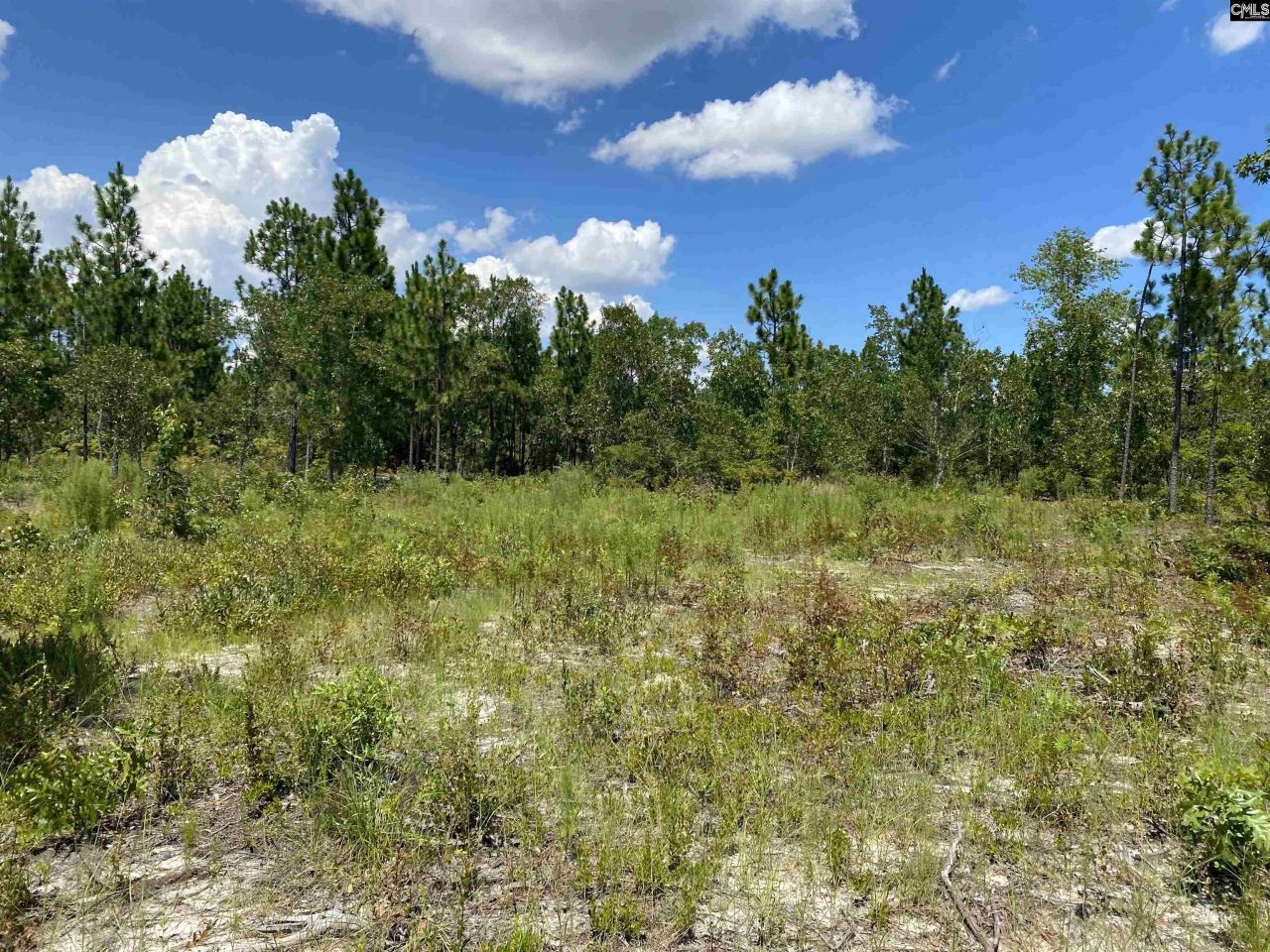 00 Bub Shumpert Road  Photo 24