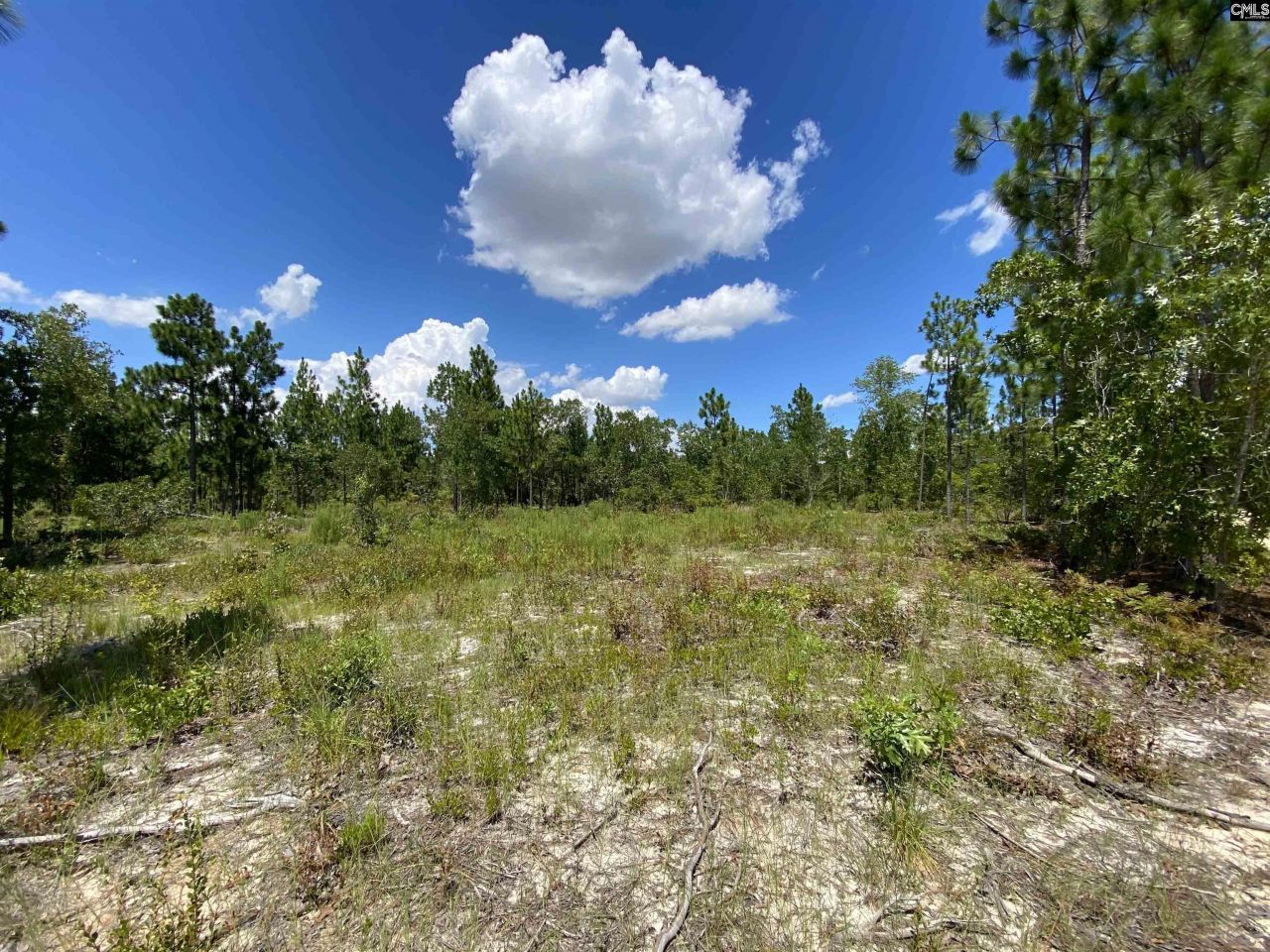 00 Bub Shumpert Road  Photo 25