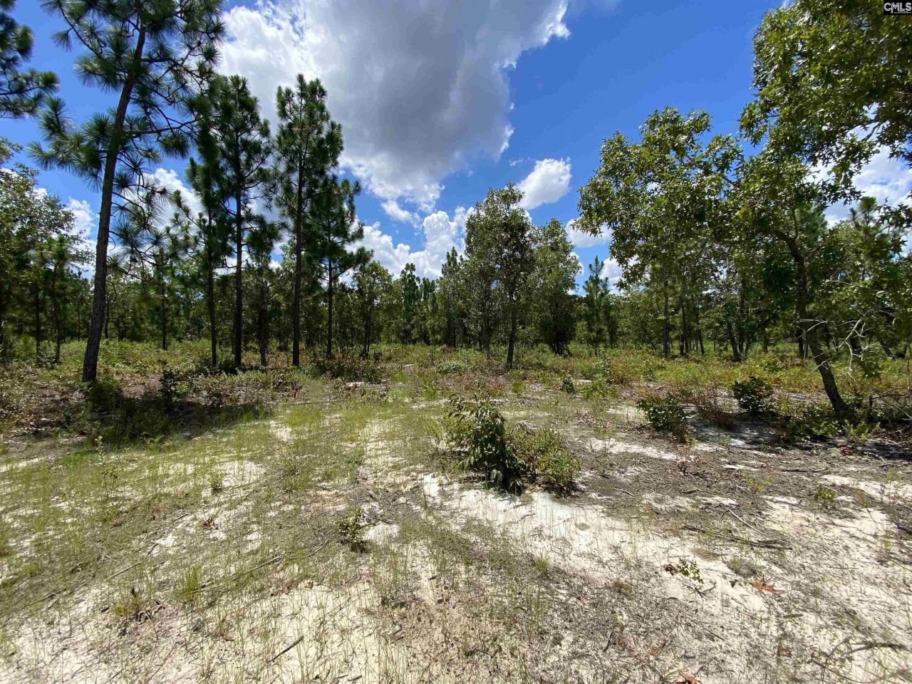 00 Bub Shumpert Road  Photo 28